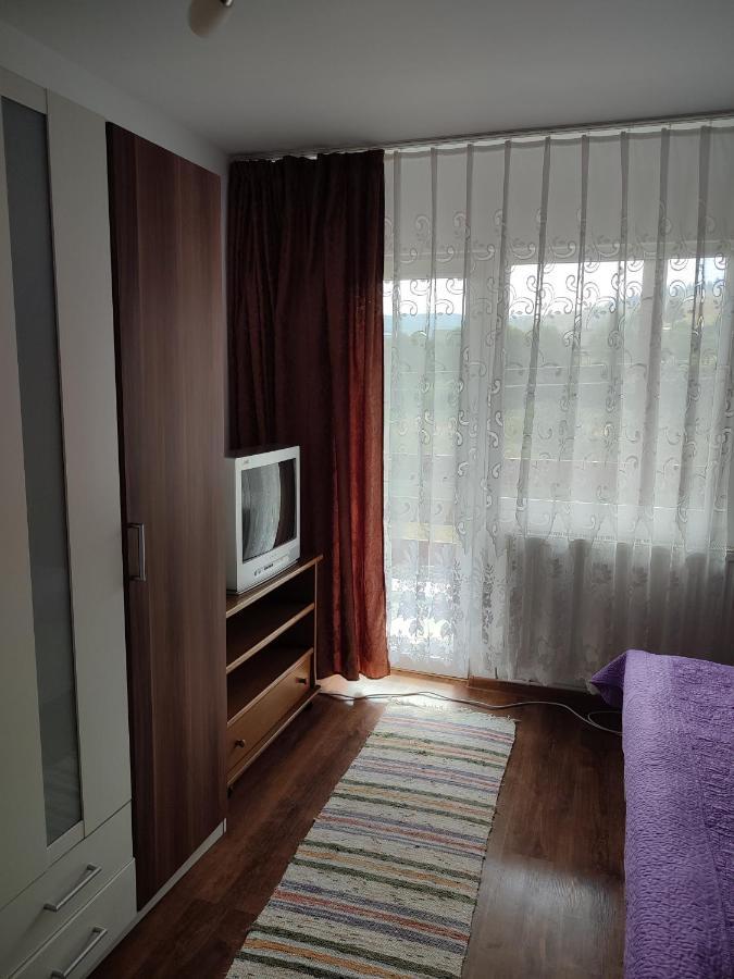 מלון Mînăstirea Humorului Casa Irilen מראה חיצוני תמונה
