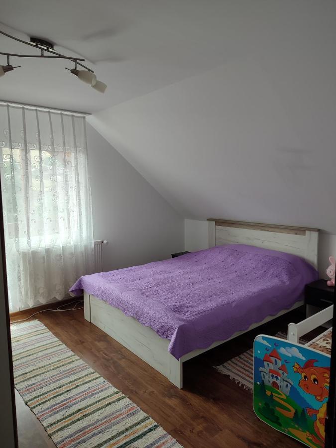 מלון Mînăstirea Humorului Casa Irilen מראה חיצוני תמונה