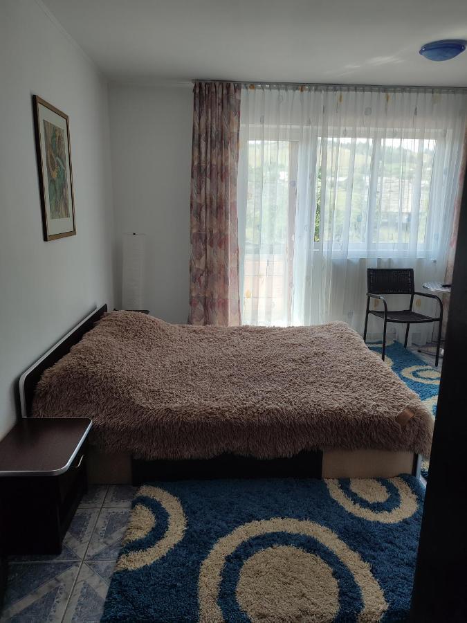 מלון Mînăstirea Humorului Casa Irilen מראה חיצוני תמונה