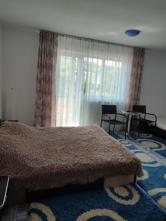 מלון Mînăstirea Humorului Casa Irilen מראה חיצוני תמונה