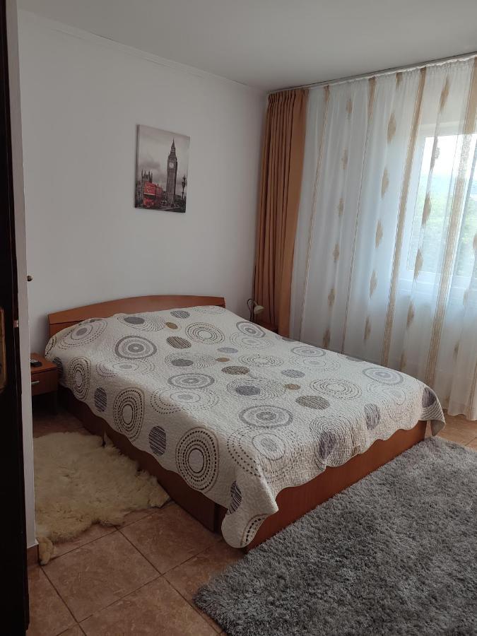 מלון Mînăstirea Humorului Casa Irilen מראה חיצוני תמונה